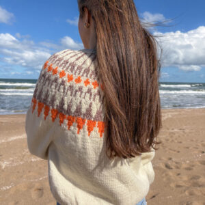 Sweater Nórdico y Naranja